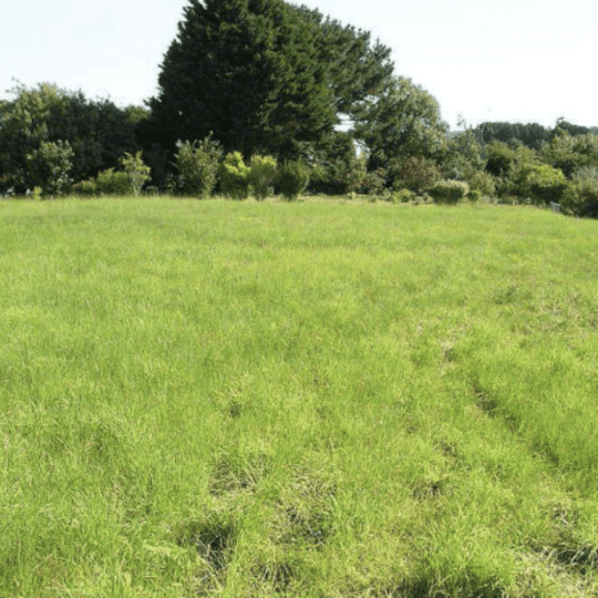 Photo terrain