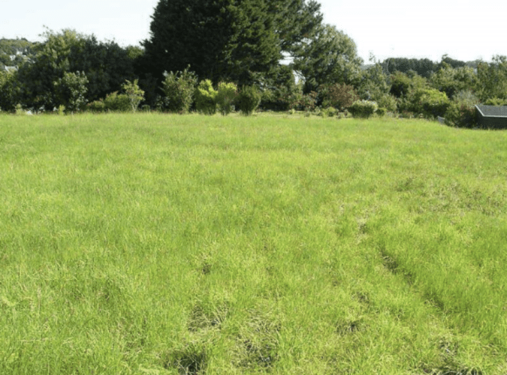 Photo terrain
